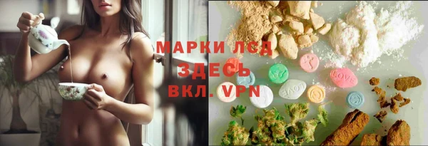 шишки Володарск