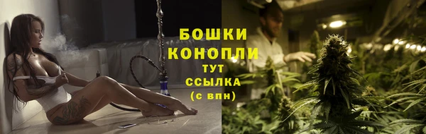 шишки Володарск