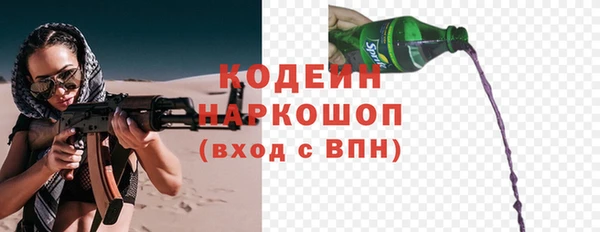 прущие грибы Никольск