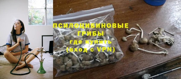 ГАЛЛЮЦИНОГЕННЫЕ ГРИБЫ Волосово