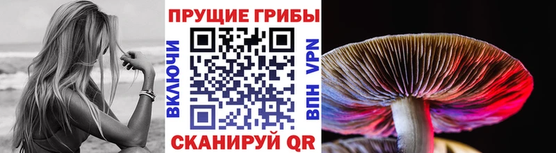 Псилоцибиновые грибы MAGIC MUSHROOMS Лосино-Петровский